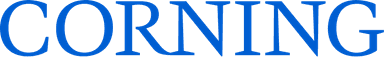Technology Partner